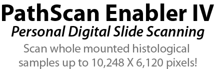 path_text