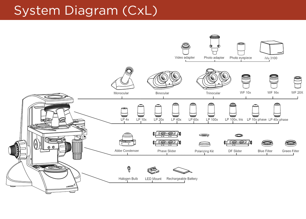 cxl-diagram