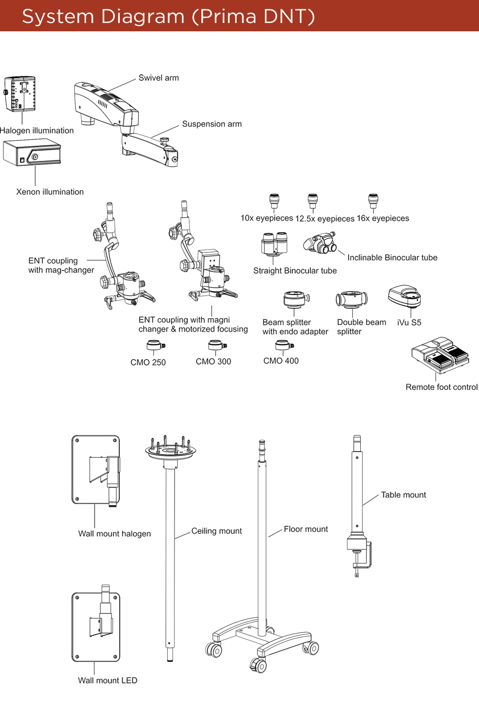 prima-dnt-diagram