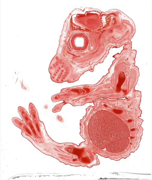 Screen Shot 2014-07-02 at 4.58.08 PM
