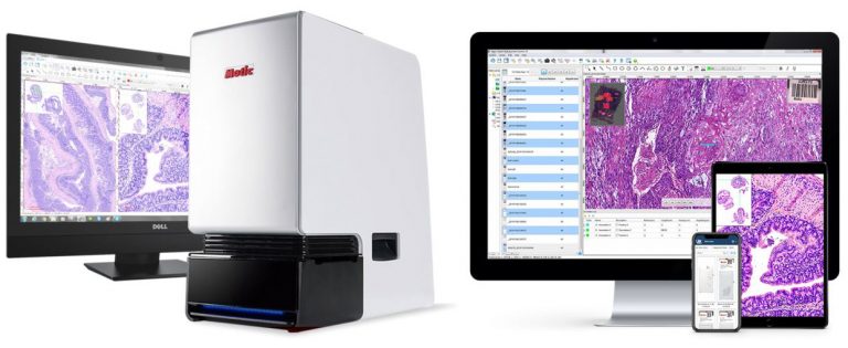 Motic EasyScan FS-Live, Slide Scanner And Microscope For Real-Time ...